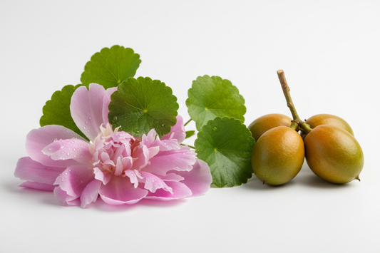 Pflanzliche Zutaten für vegane Hautpflege – Pfingstrose, Centella und Argan bei Eve & Joy